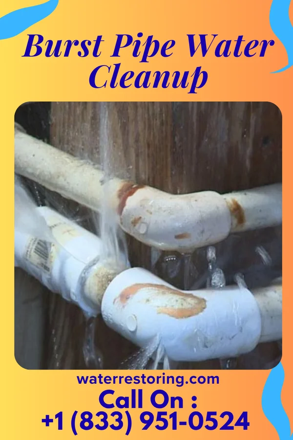 Burst Pipe Water Cleanup in Farmer, SD