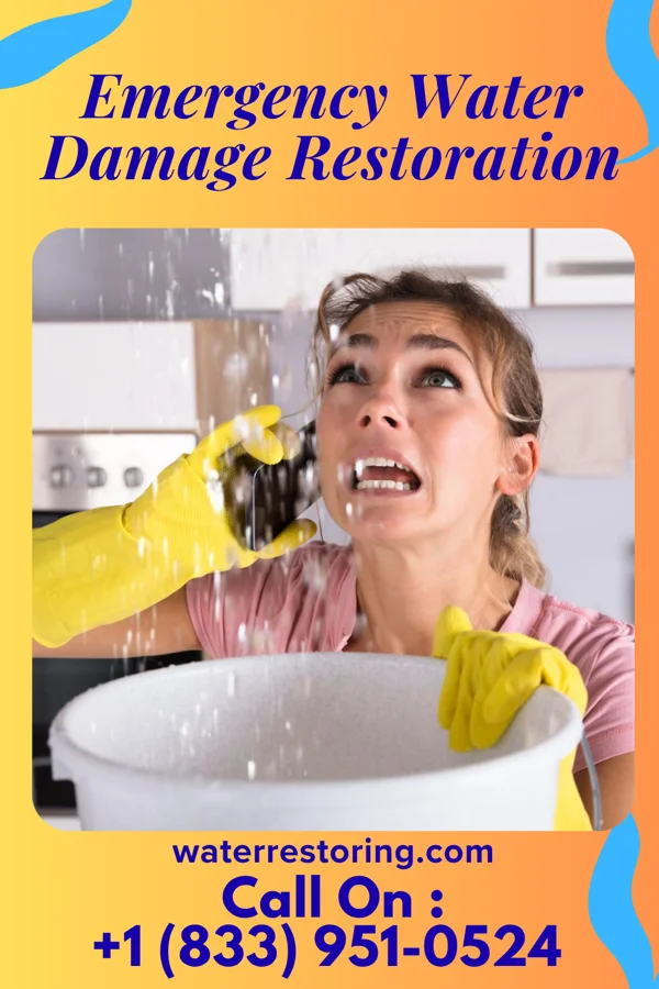 Emergency Water Damage Restoration in Farmer, SD
